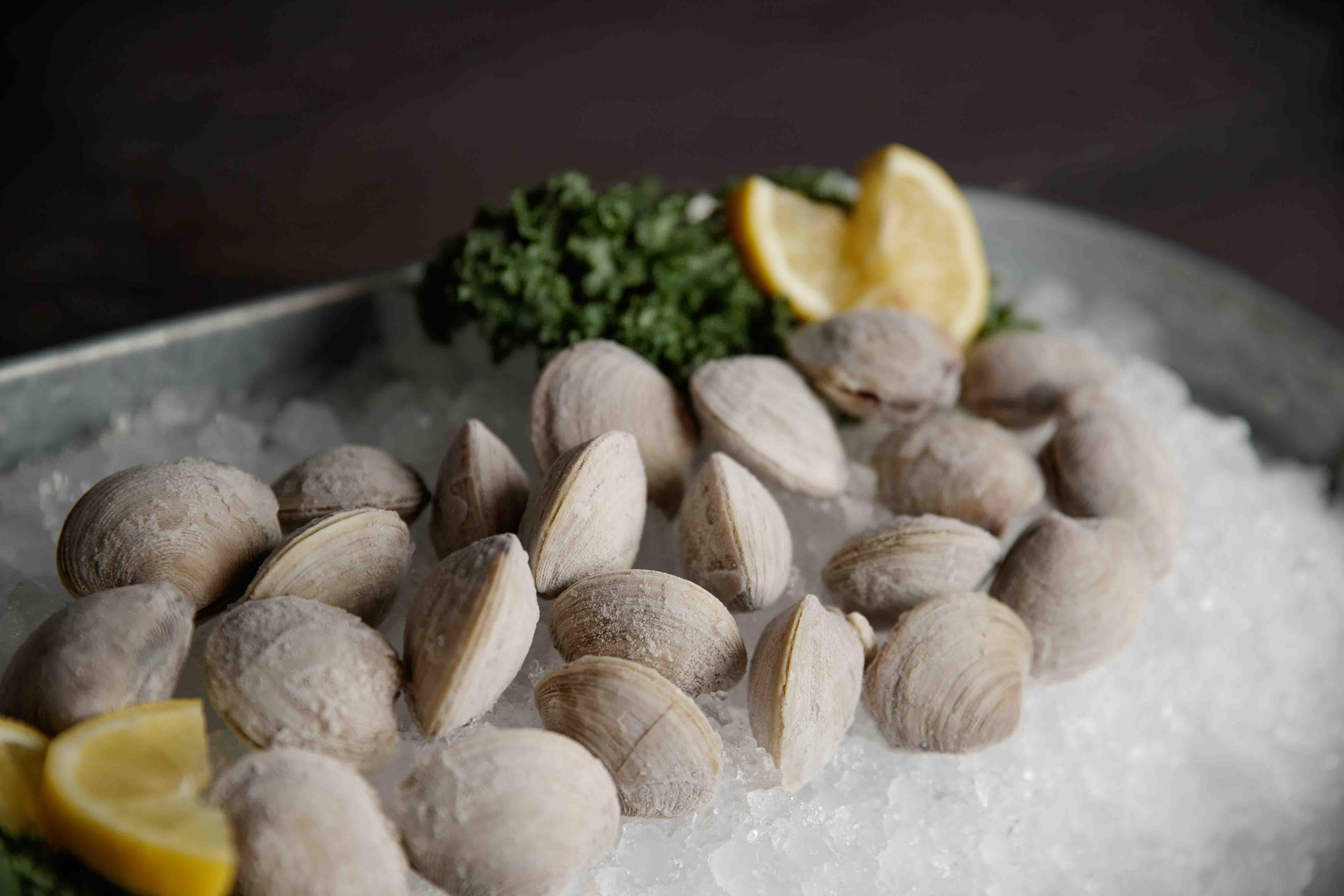 Clams — Seafood Express